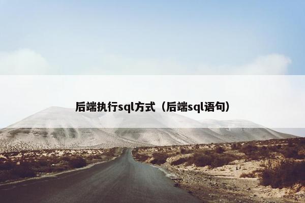 后端执行sql方式（后端sql语句）