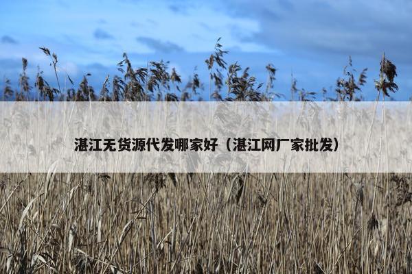 湛江无货源代发哪家好（湛江网厂家批发）