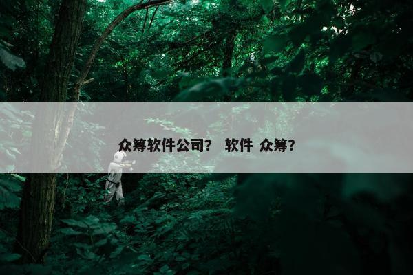 众筹软件公司？ 软件 众筹？