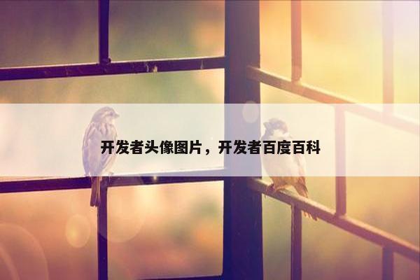 开发者头像图片，开发者百度百科