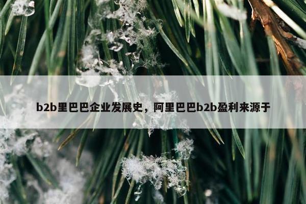 b2b里巴巴企业发展史，阿里巴巴b2b盈利来源于
