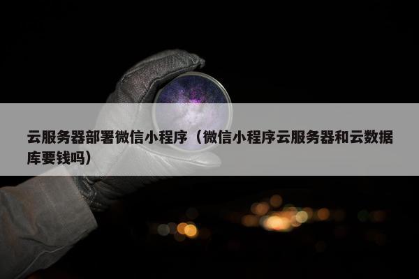 云服务器部署微信小程序（微信小程序云服务器和云数据库要钱吗）