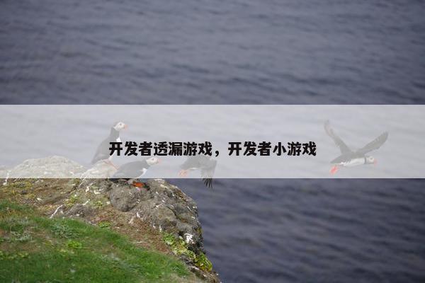 开发者透漏游戏，开发者小游戏