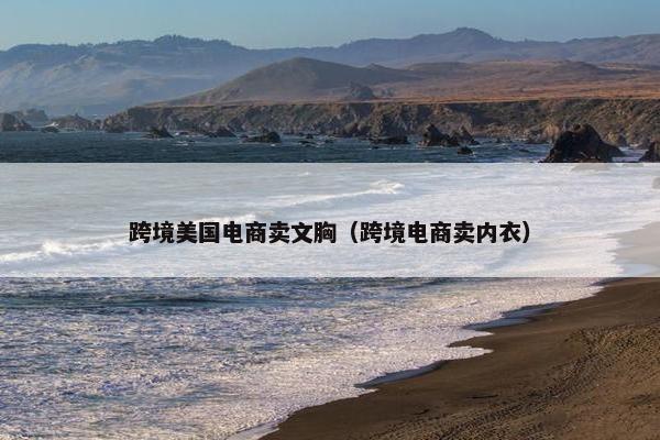 跨境美国电商卖文胸（跨境电商卖内衣）