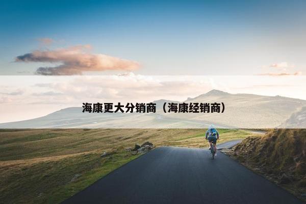 海康更大分销商（海康经销商）