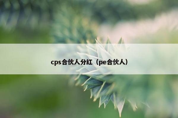 cps合伙人分红（pe合伙人）