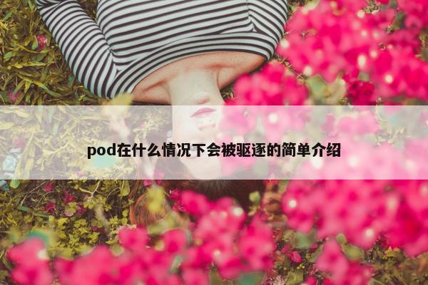 pod在什么情况下会被驱逐的简单介绍