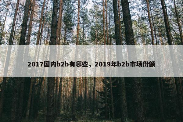 2017国内b2b有哪些，2019年b2b市场份额