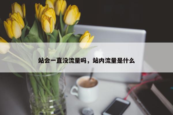 站会一直没流量吗，站内流量是什么
