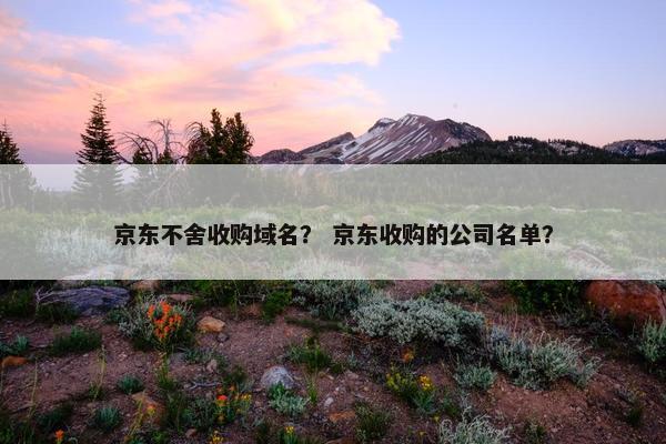 京东不舍收购域名？ 京东收购的公司名单？