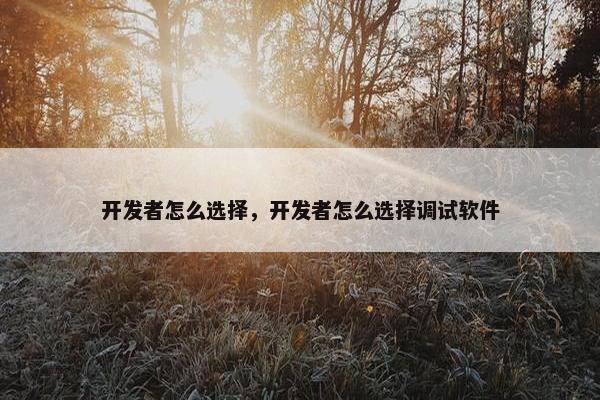 开发者怎么选择，开发者怎么选择调试软件