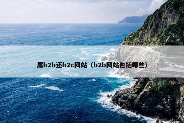 属b2b还b2c网站（b2b网站包括哪些）