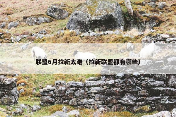 联盟6月拉新太难（拉新联盟都有哪些）