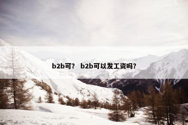 b2b可？ b2b可以发工资吗？