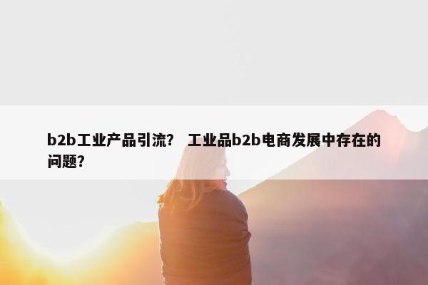 b2b工业产品引流？ 工业品b2b电商发展中存在的问题？