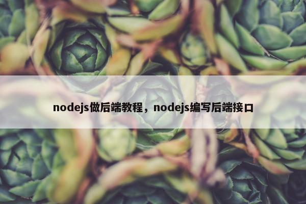 nodejs做后端教程，nodejs编写后端接口