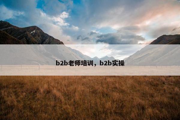 b2b老师培训，b2b实操