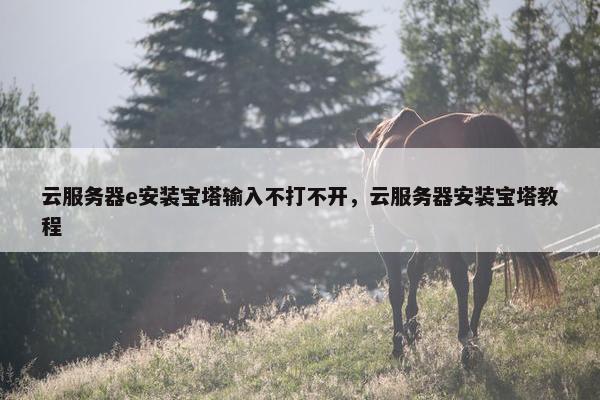 云服务器e安装宝塔输入不打不开，云服务器安装宝塔教程