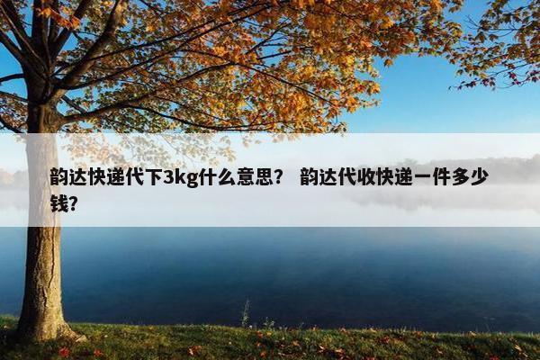 韵达快递代下3kg什么意思？ 韵达代收快递一件多少钱？
