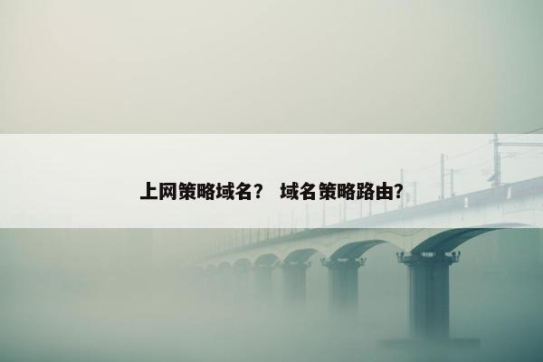 上网策略域名？ 域名策略路由？