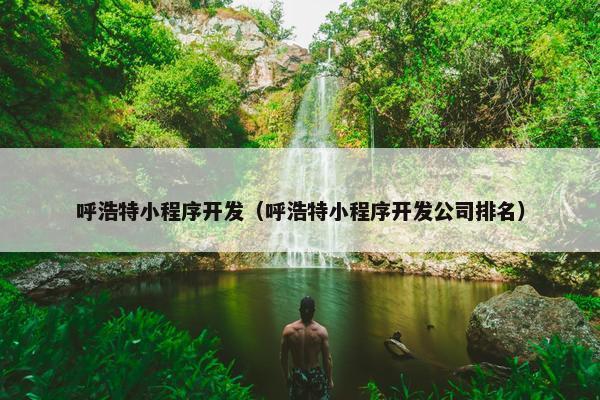 呼浩特小程序开发（呼浩特小程序开发公司排名）