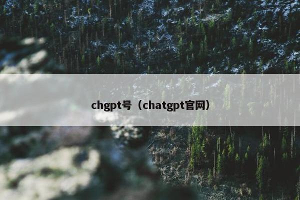 chgpt号（chatgpt官网）
