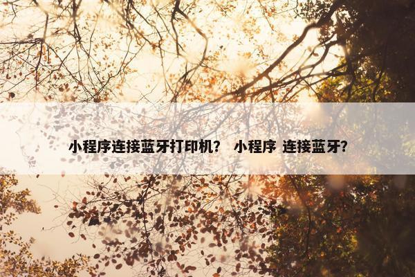 小程序连接蓝牙打印机？ 小程序 连接蓝牙？