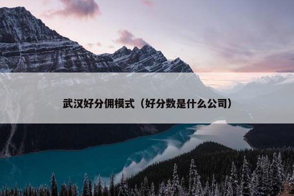 武汉好分佣模式（好分数是什么公司）