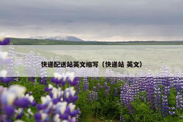 快递配送站英文缩写（快递站 英文）