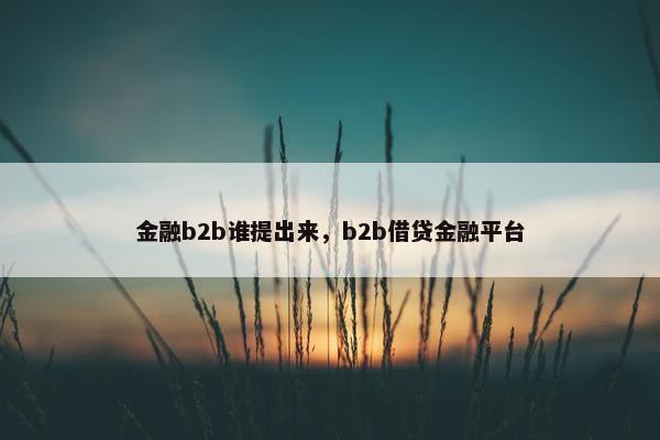 金融b2b谁提出来，b2b借贷金融平台