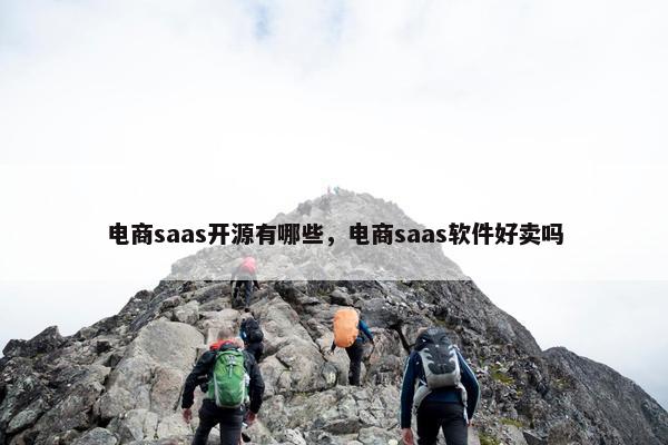 电商saas开源有哪些，电商saas软件好卖吗
