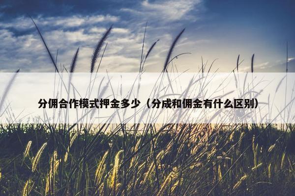 分佣合作模式押金多少（分成和佣金有什么区别）