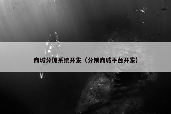 商城分佣系统开发（分销商城平台开发）