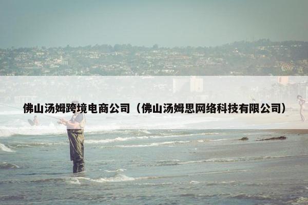 佛山汤姆跨境电商公司（佛山汤姆思网络科技有限公司）