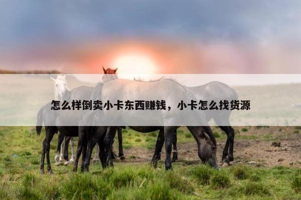 怎么样倒卖小卡东西赚钱，小卡怎么找货源