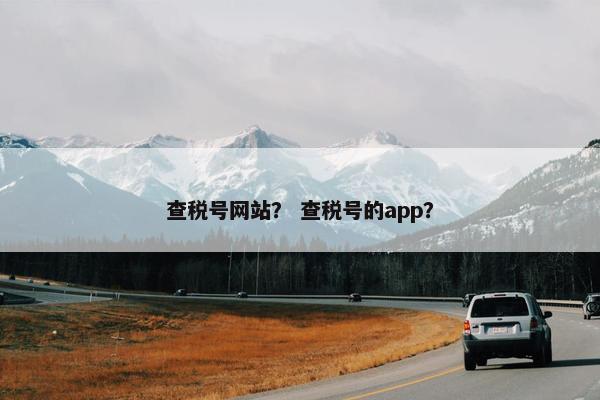 查税号网站？ 查税号的app？