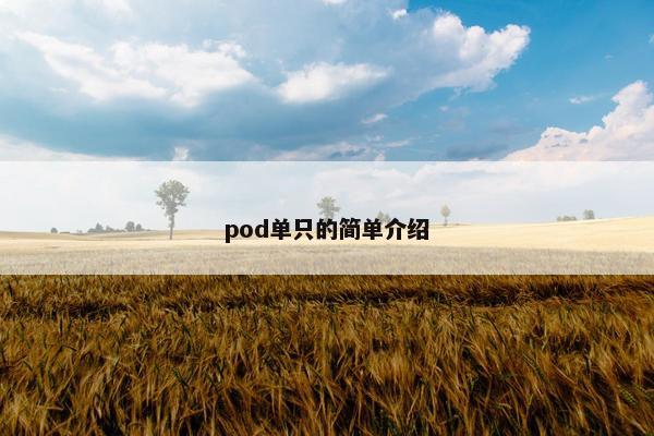 pod单只的简单介绍