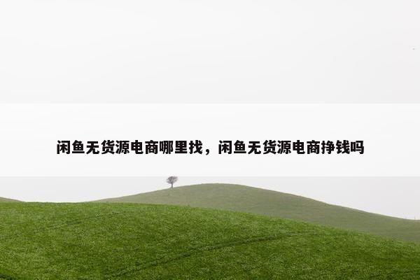 闲鱼无货源电商哪里找，闲鱼无货源电商挣钱吗