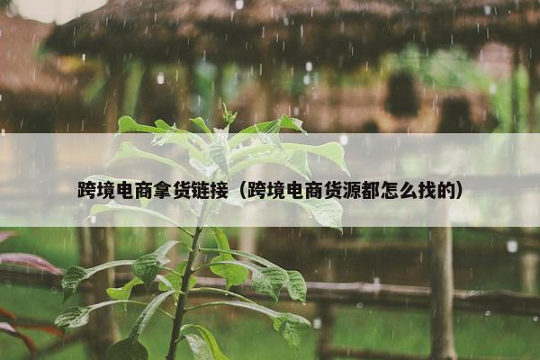跨境电商拿货链接（跨境电商货源都怎么找的）