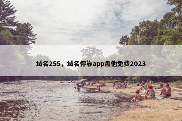 域名255，域名停靠app盘他免费2023