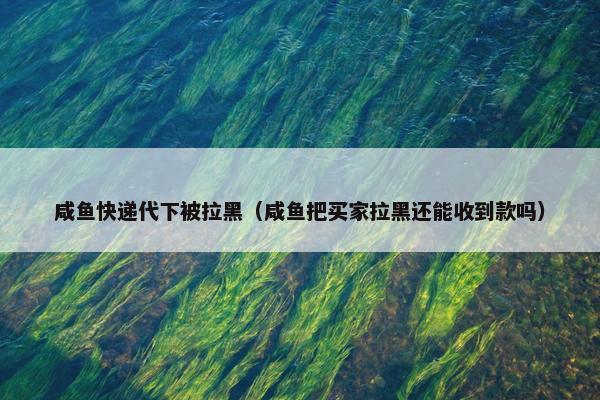 咸鱼快递代下被拉黑（咸鱼把买家拉黑还能收到款吗）