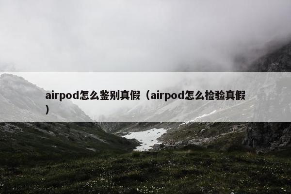 airpod怎么鉴别真假（airpod怎么检验真假）