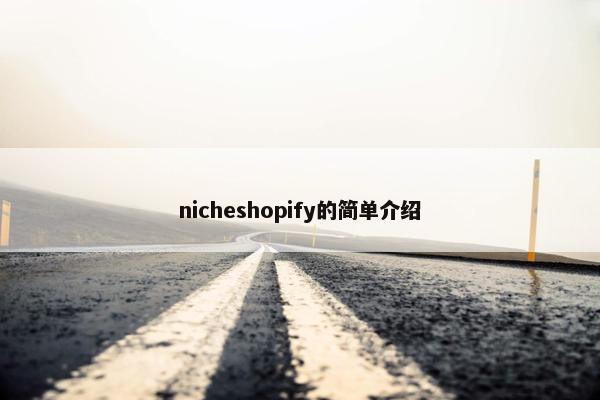 nicheshopify的简单介绍