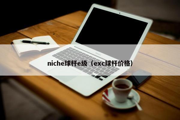 niche球杆e级（exc球杆价格）