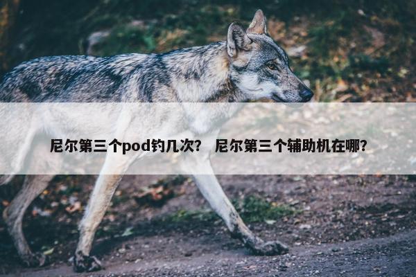 尼尔第三个pod钓几次？ 尼尔第三个辅助机在哪？