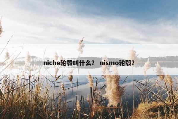 niche轮毂叫什么？ nismo轮毂？