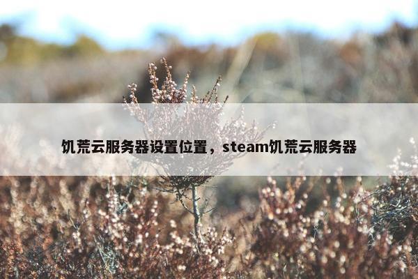 饥荒云服务器设置位置，steam饥荒云服务器