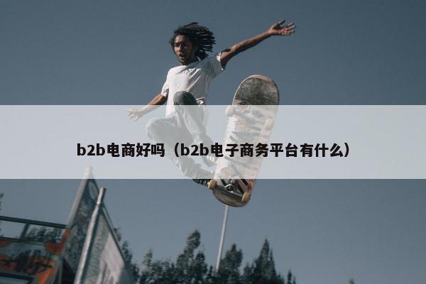 b2b电商好吗（b2b电子商务平台有什么）