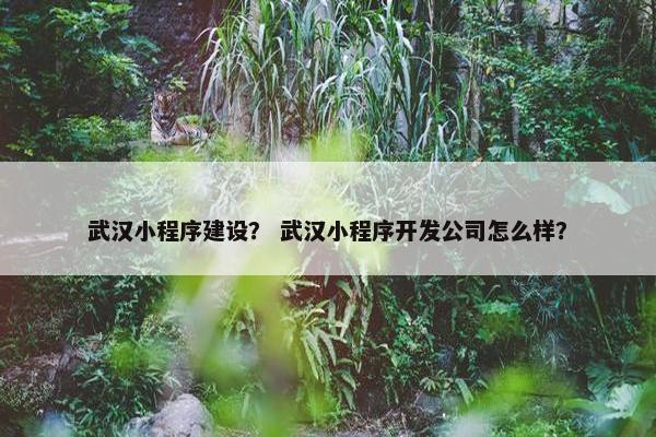武汉小程序建设？ 武汉小程序开发公司怎么样？