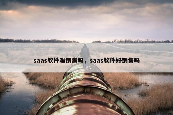 saas软件难销售吗，saas软件好销售吗